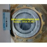 VÒNG BI RN307-17 NTN